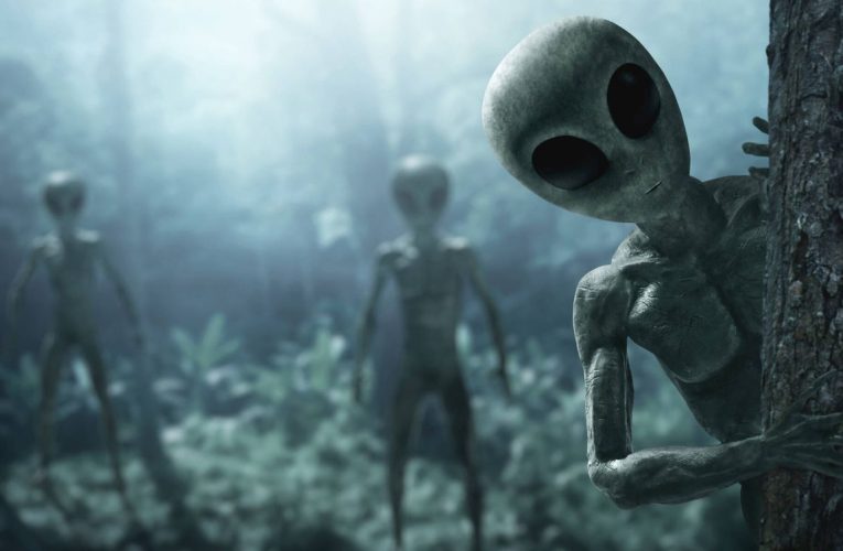 Encubrimiento Alienígena: ¿Están los Extraterrestres Ocultos en Nuestra Sociedad?